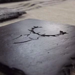 Stag Engraved Coasters